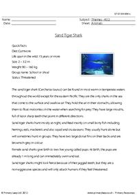 Reading comprehension - Sand tiger shark